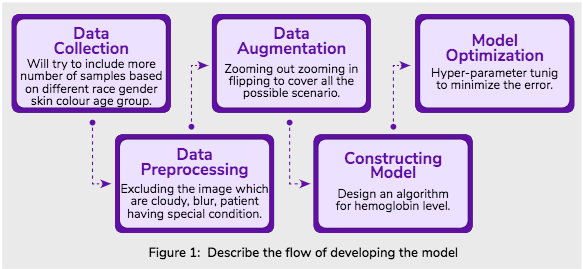 A flow chart illustrating a machine learning algorithm model for detecting anaemia