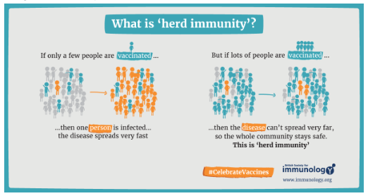 An image depicting the importance of vaccination in improving herd immunity among a community